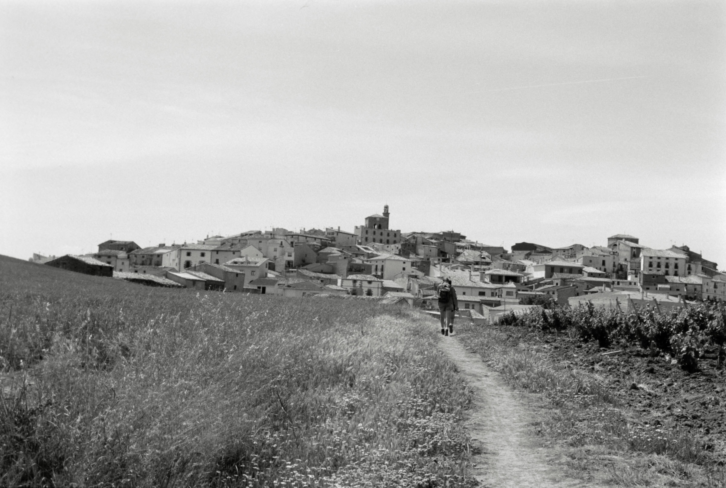 AHP F1995 05 006 sc240818 img33 NLP